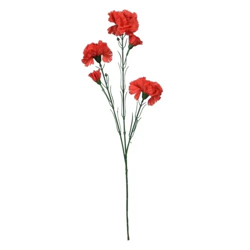 Karafiát – konár x5 65 cm red K193